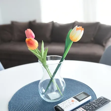 4 Seasons Apartment *